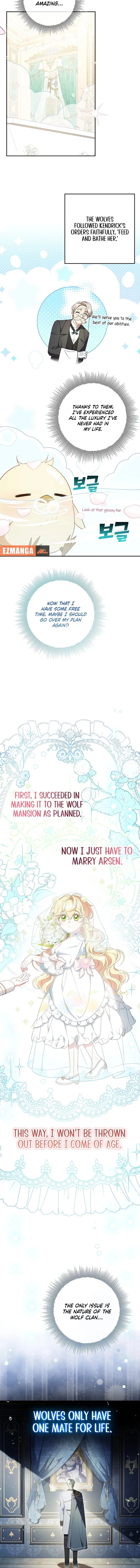 The Beloved New Daughter-In-Law of the Wolf