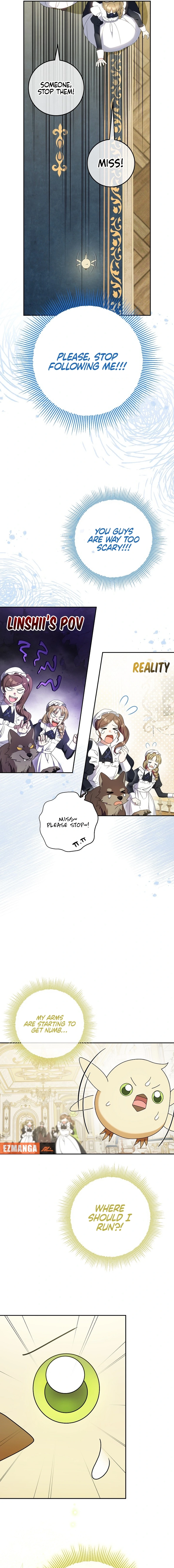 The Beloved New Daughter-In-Law of the Wolf