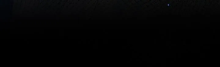 The Betrayer Chapter 2 page 24 - 