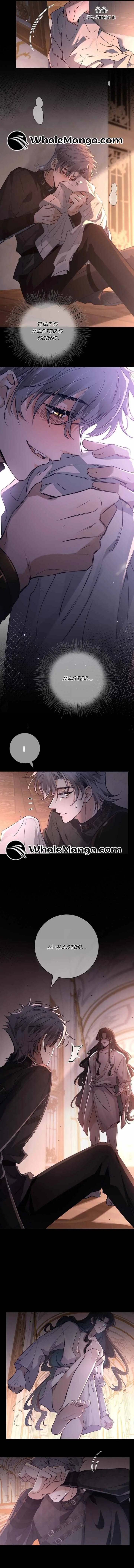 The Betrayer Chapter 4 page 4 - 