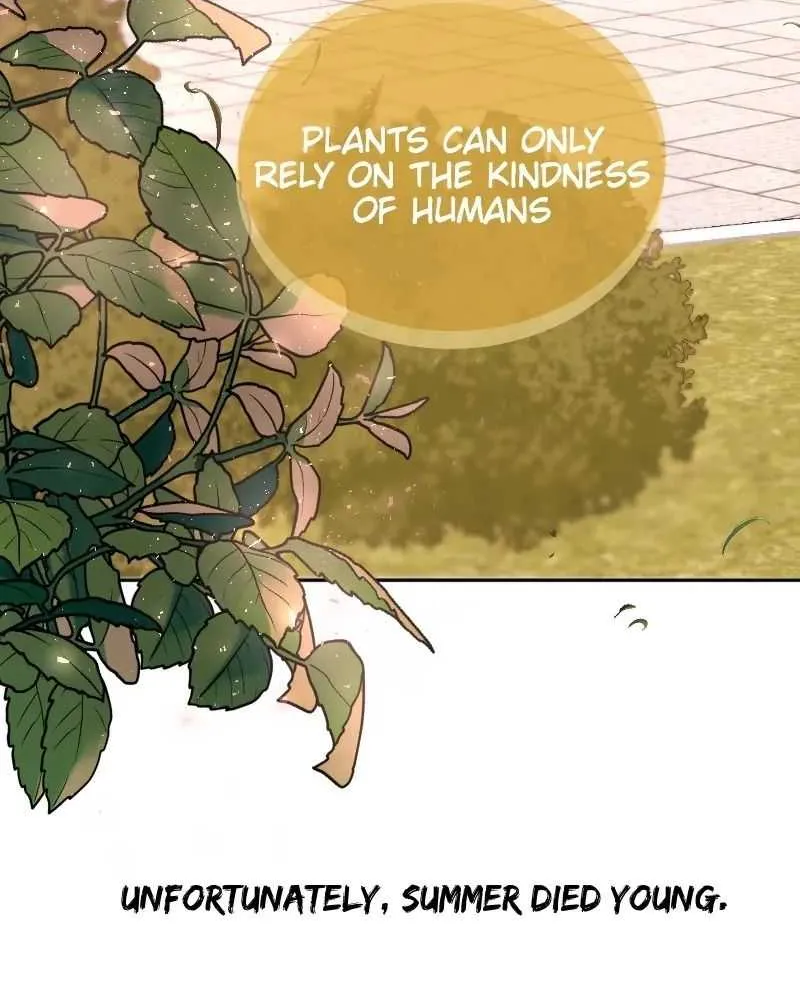 The Billionaire’s Replacement Wife Chapter 0.1 page 17 - 