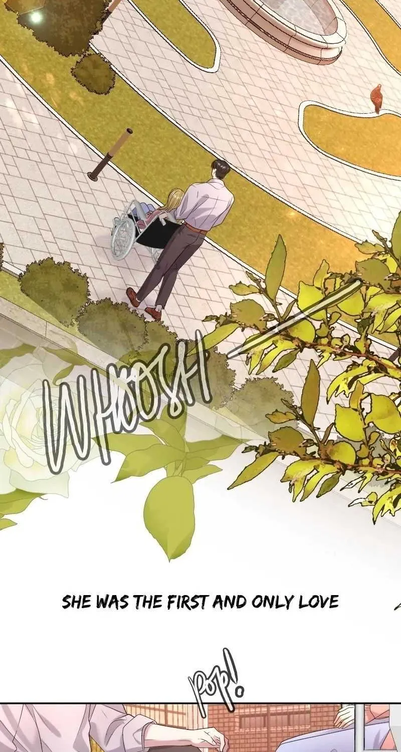 The Billionaire’s Replacement Wife Chapter 0.1 page 6 - 