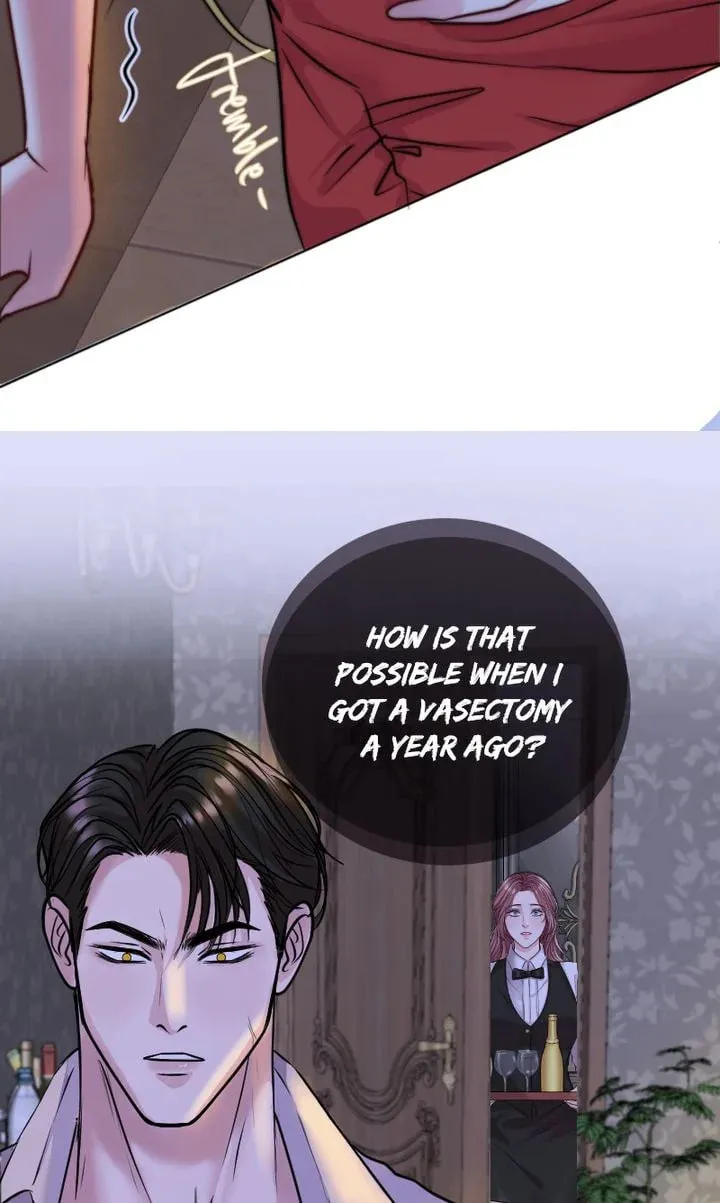The Billionaire’s Replacement Wife Chapter 1 page 11 - 