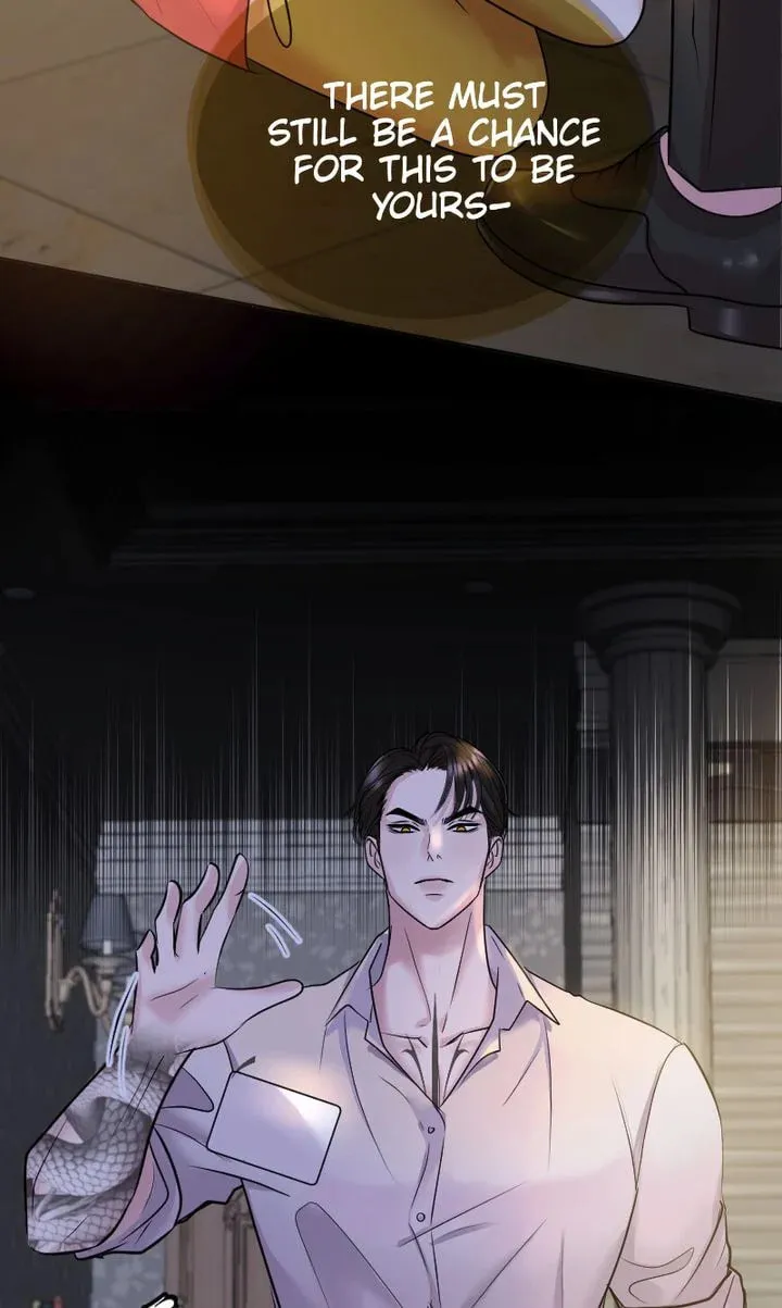 The Billionaire’s Replacement Wife Chapter 1 page 16 - 
