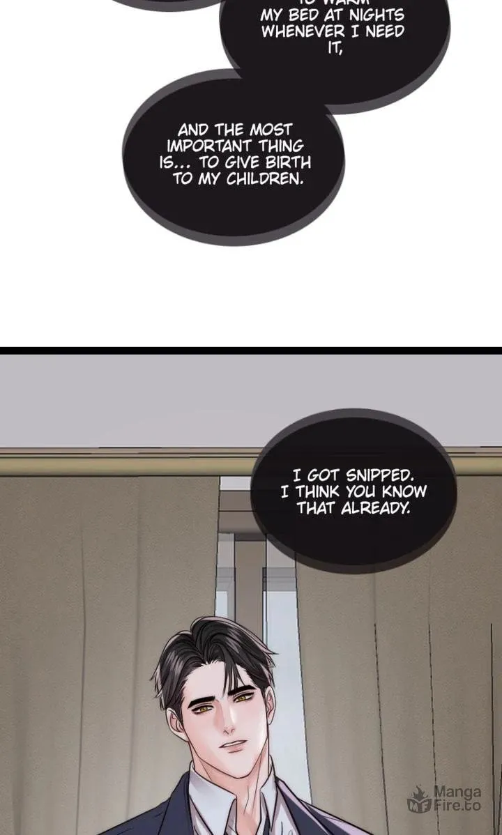 The Billionaire’s Replacement Wife Chapter 10 page 18 - 