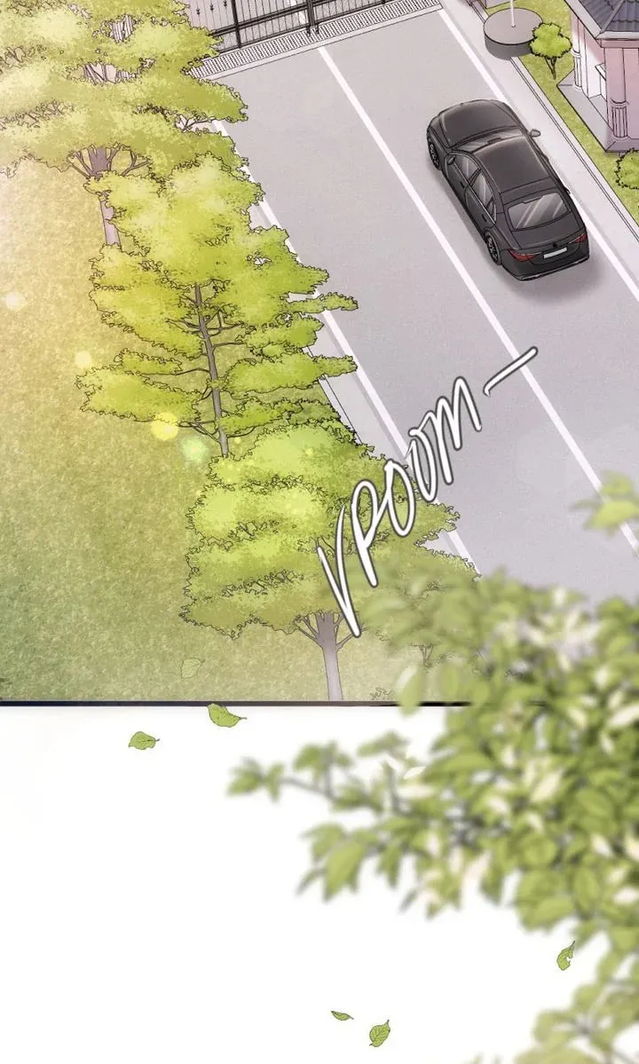 The Billionaire’s Replacement Wife Chapter 11 page 23 - 