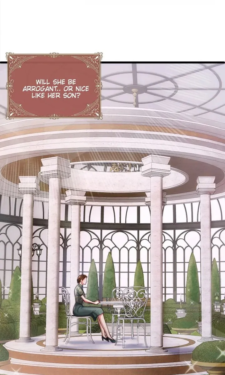 The Billionaire’s Replacement Wife Chapter 11 page 29 - 