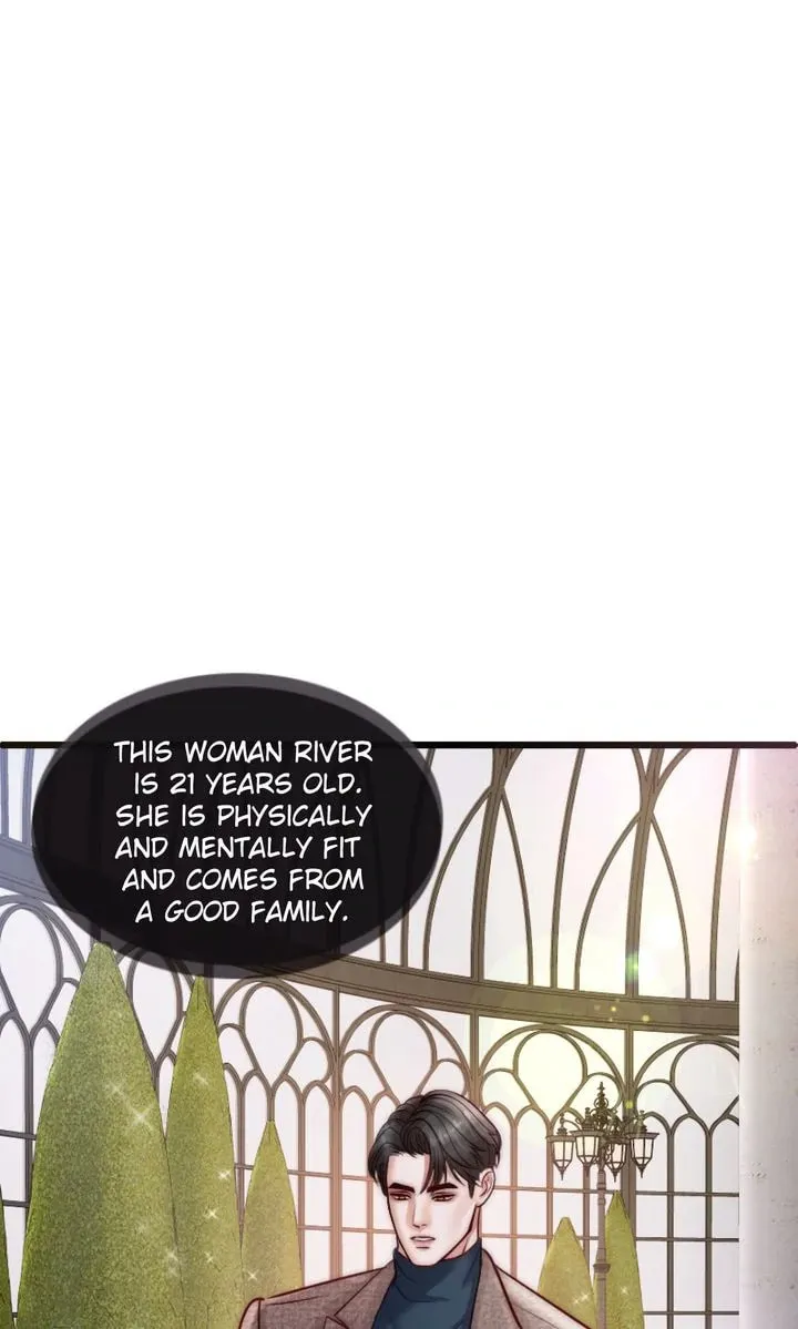 The Billionaire’s Replacement Wife Chapter 11 page 43 - 
