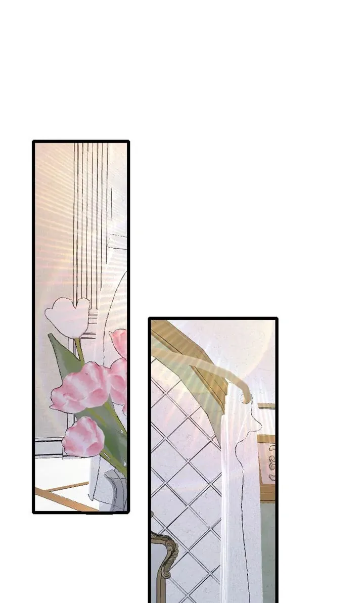 The Billionaire’s Replacement Wife Chapter 12 page 52 - 