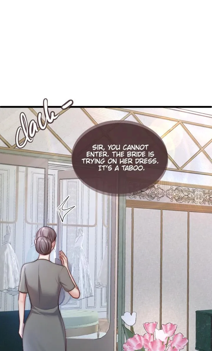The Billionaire’s Replacement Wife Chapter 12 page 56 - 