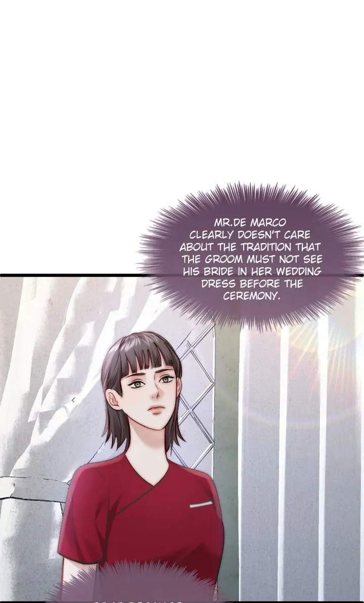 The Billionaire’s Replacement Wife Chapter 12 page 67 - 
