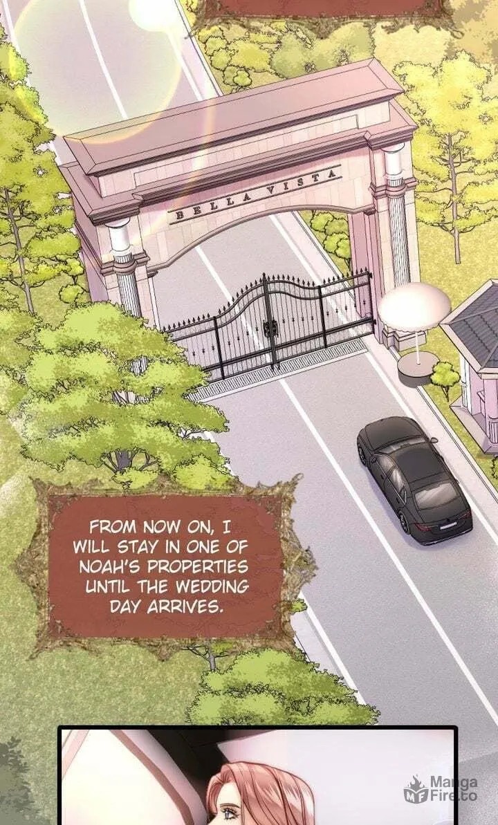 The Billionaire’s Replacement Wife Chapter 12 page 9 - 