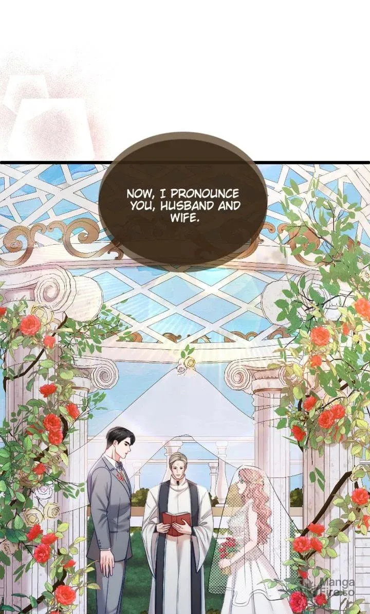 The Billionaire’s Replacement Wife Chapter 13 page 25 - 