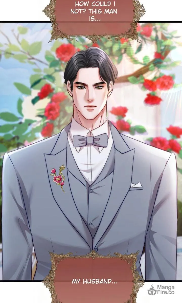 The Billionaire’s Replacement Wife Chapter 13 page 27 - 