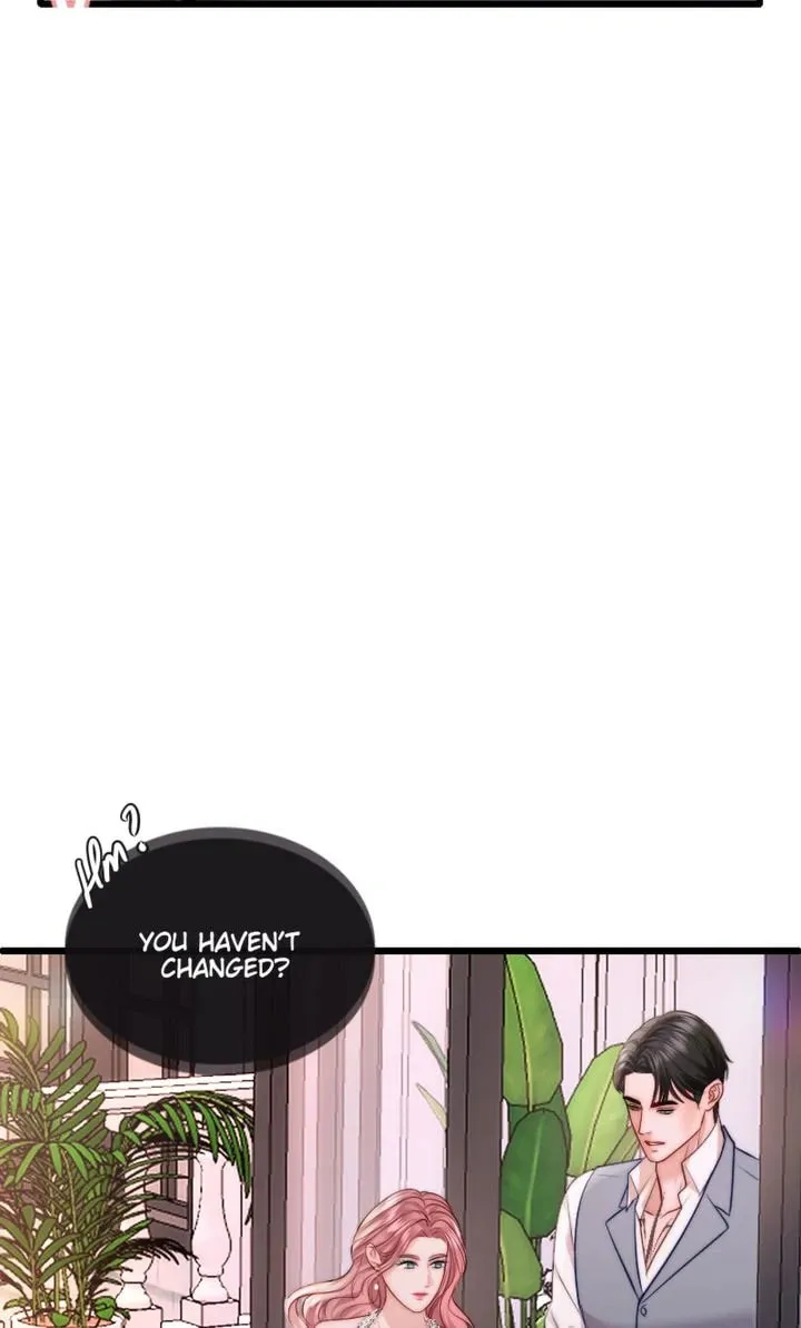 The Billionaire’s Replacement Wife Chapter 13 page 64 - 