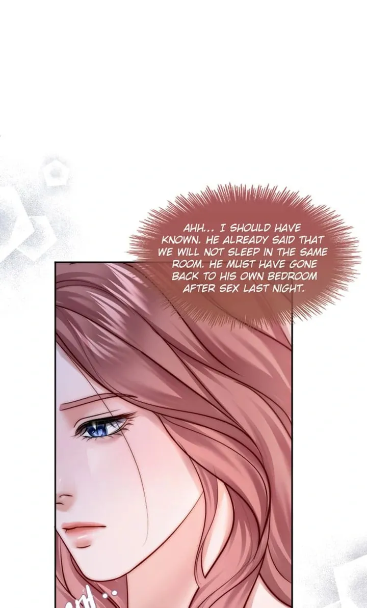 The Billionaire’s Replacement Wife Chapter 15 page 28 - 
