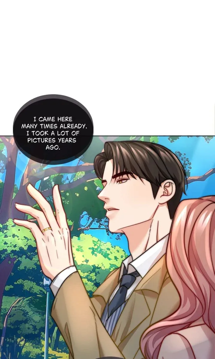 The Billionaire’s Replacement Wife Chapter 16 page 44 - 