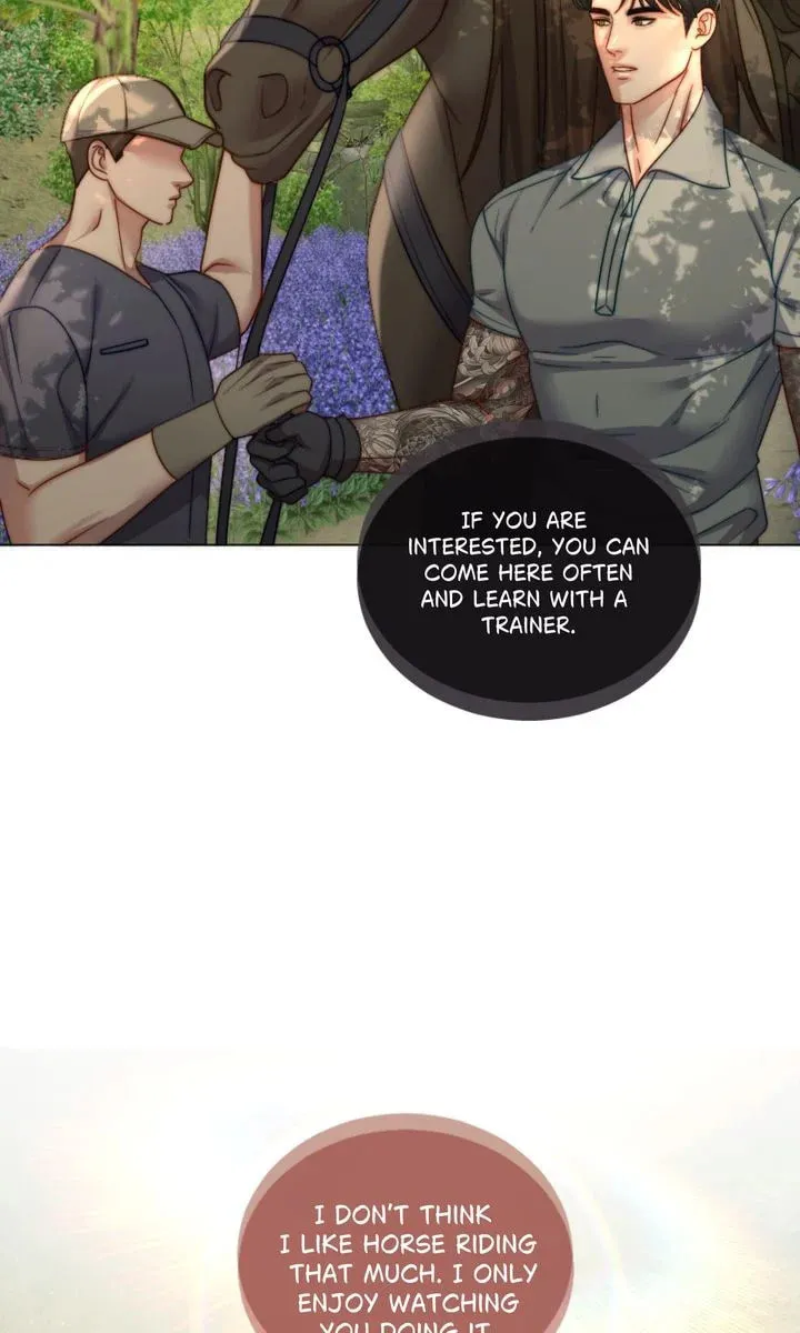 The Billionaire’s Replacement Wife Chapter 17 page 13 - 