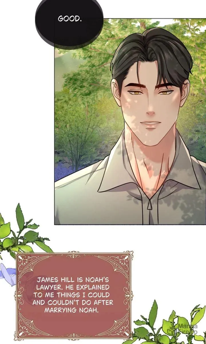 The Billionaire’s Replacement Wife Chapter 17 page 18 - 