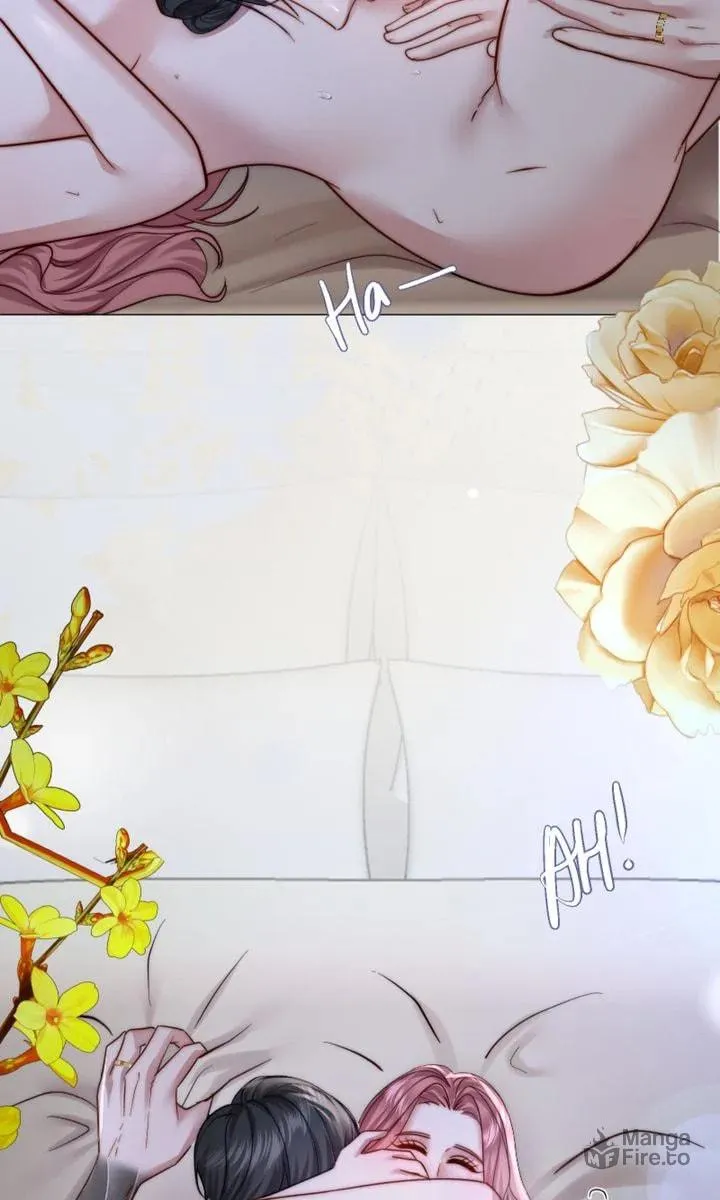The Billionaire’s Replacement Wife Chapter 17 page 66 - 