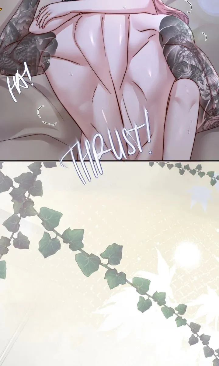 The Billionaire’s Replacement Wife Chapter 17 page 67 - 
