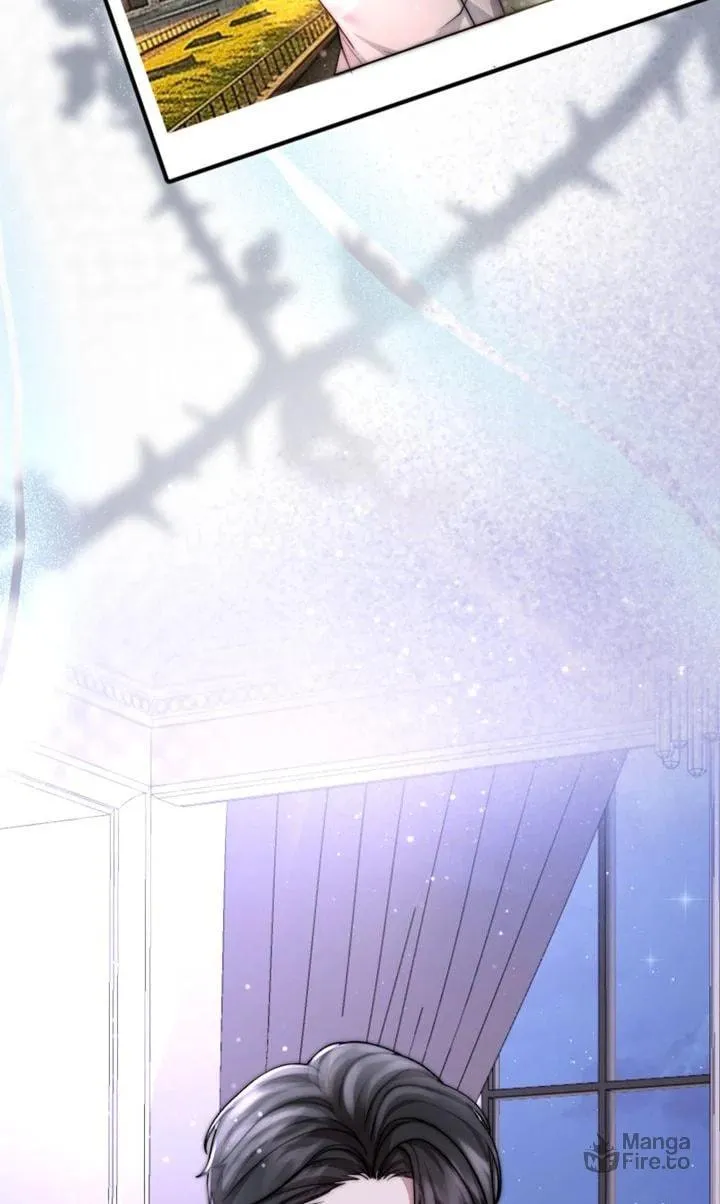 The Billionaire’s Replacement Wife Chapter 19 page 42 - 