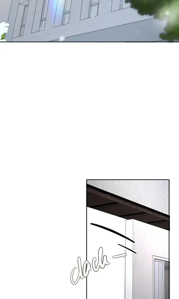 The Billionaire’s Replacement Wife Chapter 19 page 49 - 
