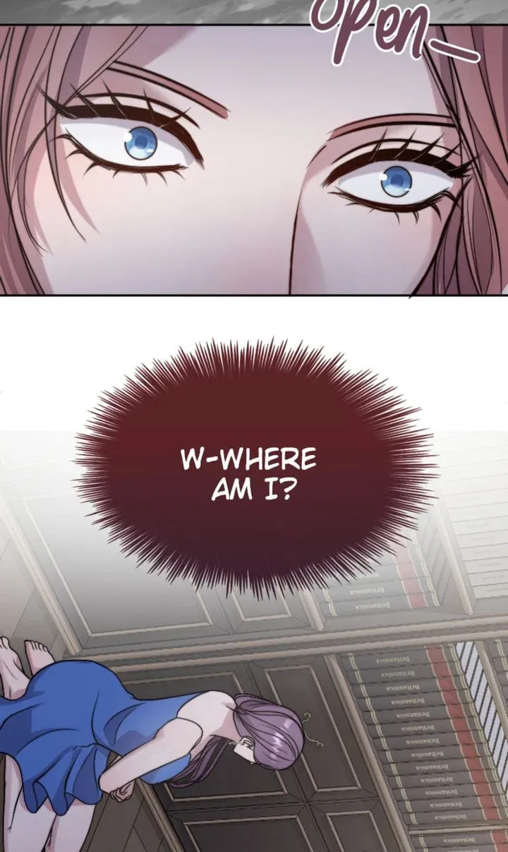 The Billionaire’s Replacement Wife Chapter 2 page 13 - 