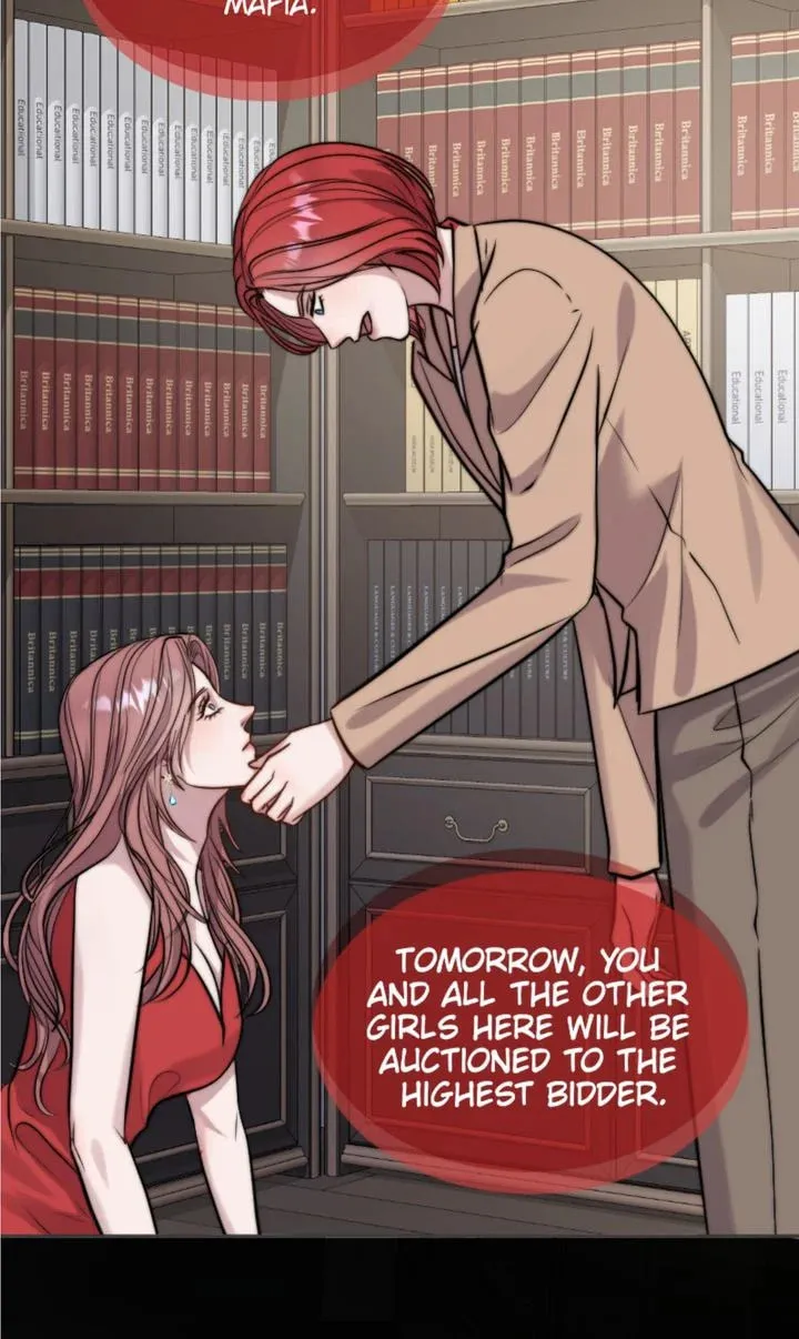 The Billionaire’s Replacement Wife Chapter 2 page 19 - 
