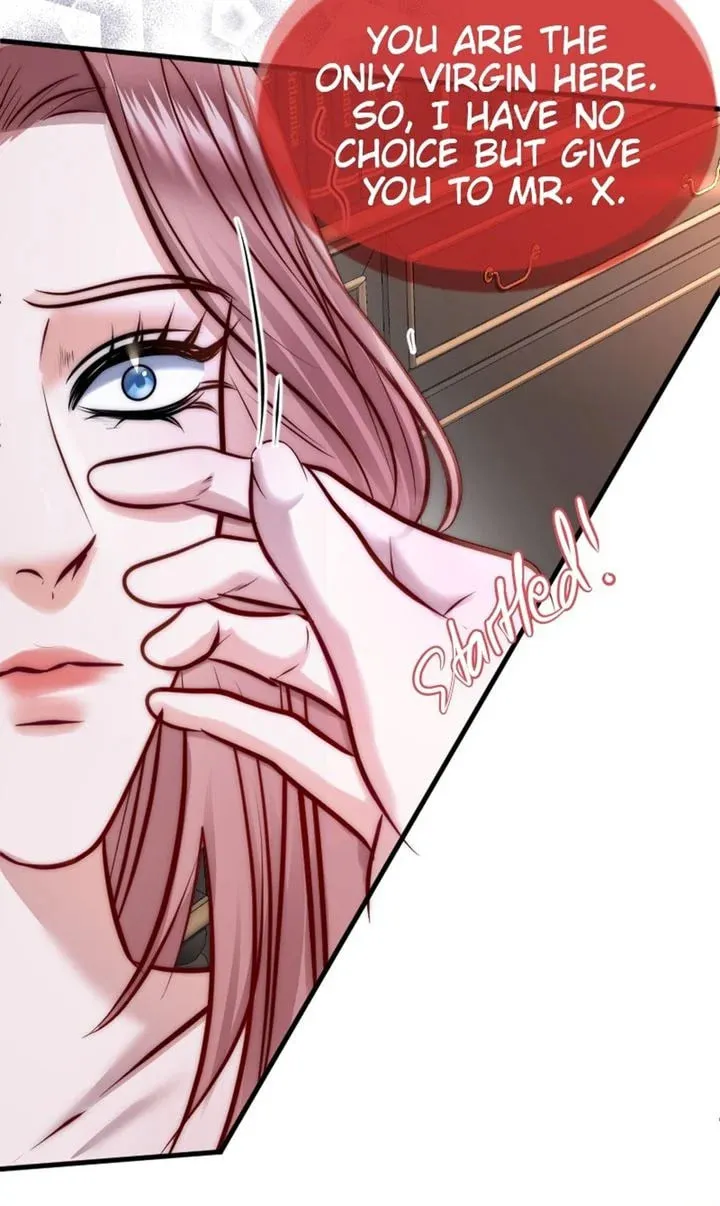 The Billionaire’s Replacement Wife Chapter 2 page 46 - 