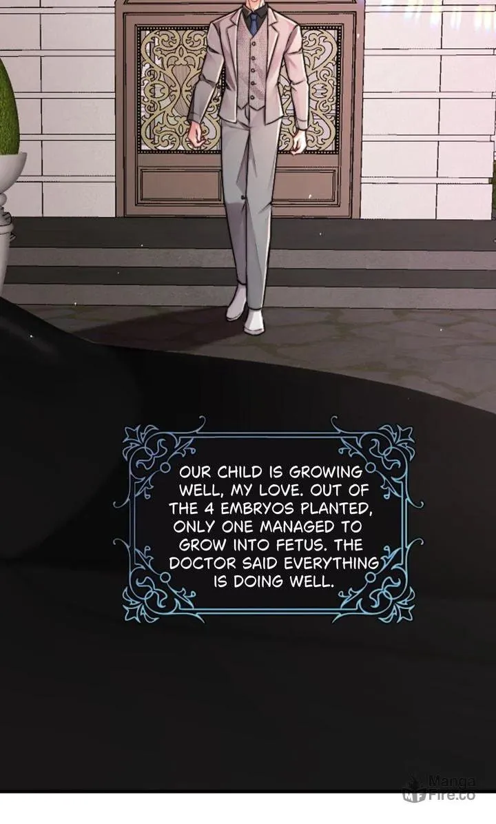 The Billionaire’s Replacement Wife Chapter 20 page 30 - 