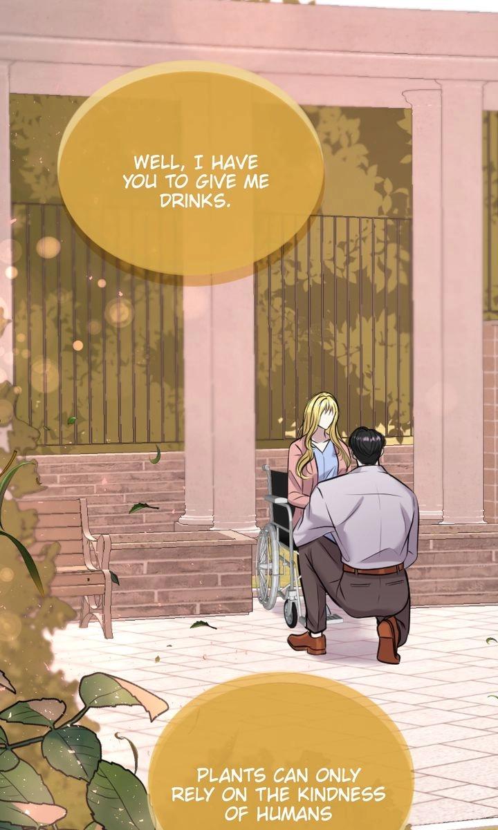 The Billionaire’s Replacement Wife Chapter 21.1 page 16 - 