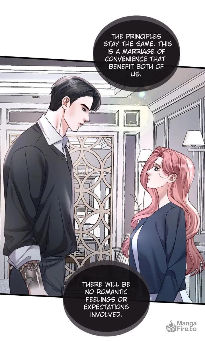 The Billionaire’s Replacement Wife Chapter 23 page 51 - 