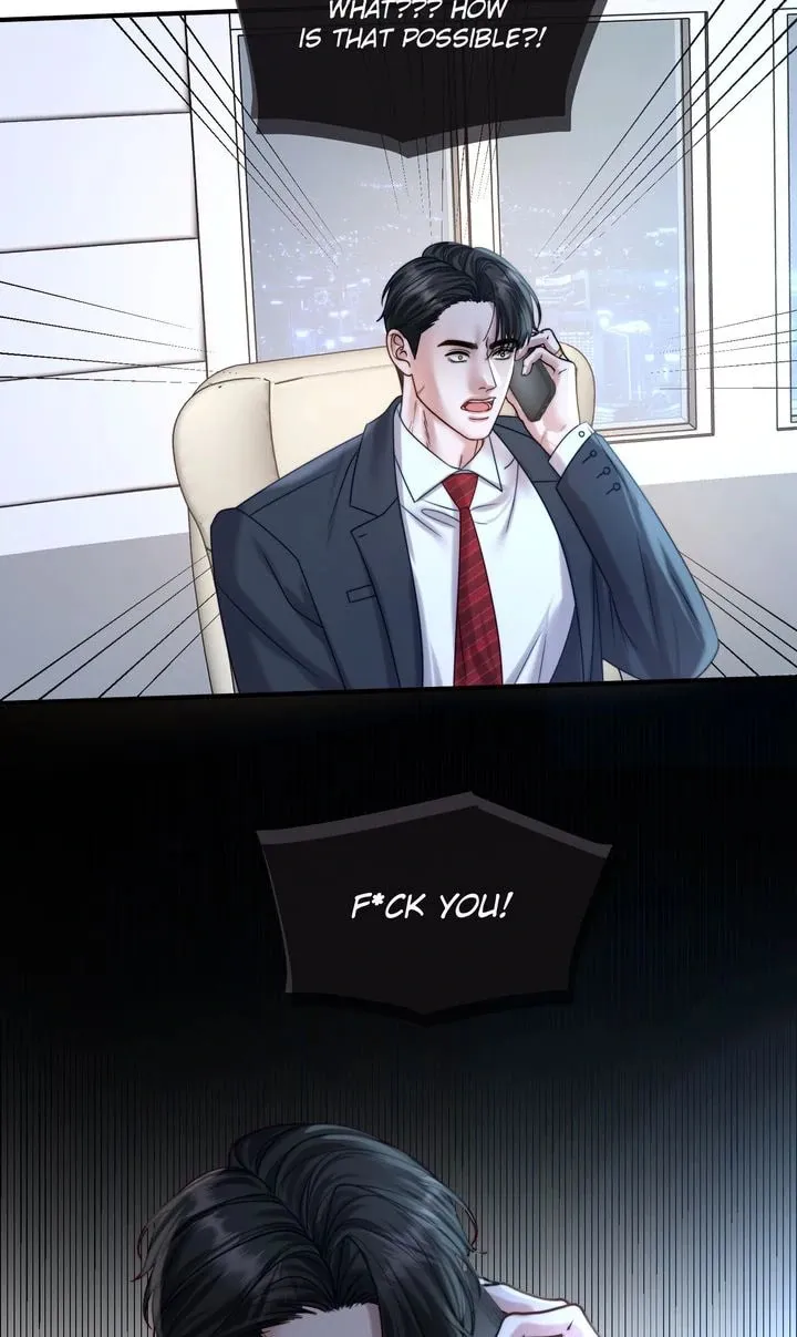 The Billionaire’s Replacement Wife Chapter 24 page 29 - 