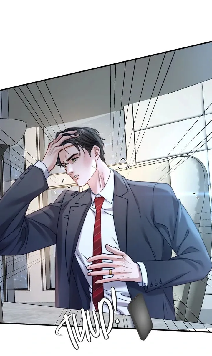 The Billionaire’s Replacement Wife Chapter 24 page 31 - 