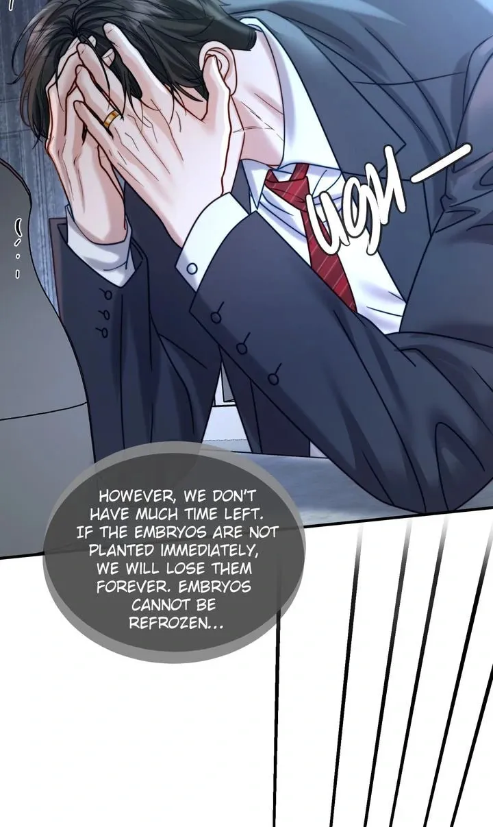 The Billionaire’s Replacement Wife Chapter 24 page 34 - 