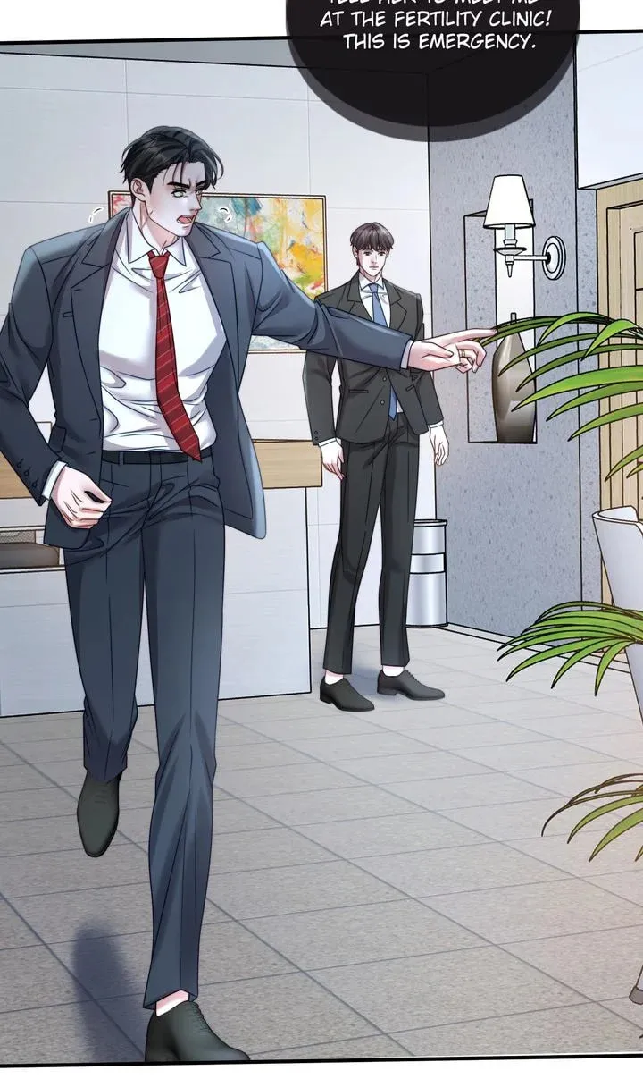 The Billionaire’s Replacement Wife Chapter 24 page 38 - 