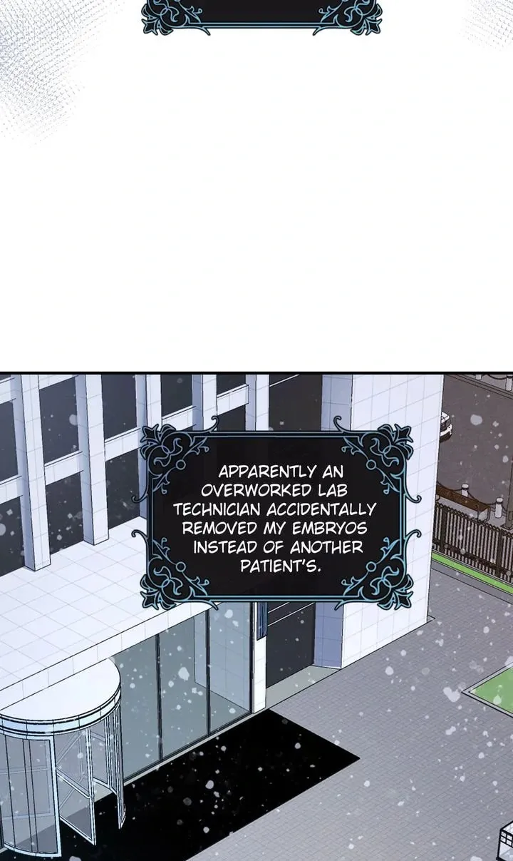 The Billionaire’s Replacement Wife Chapter 24 page 59 - 
