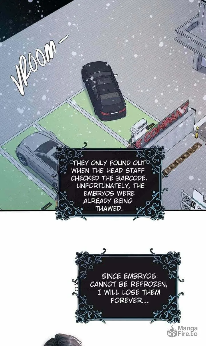 The Billionaire’s Replacement Wife Chapter 24 page 60 - 