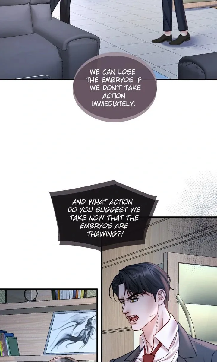 The Billionaire’s Replacement Wife Chapter 25 page 11 - 