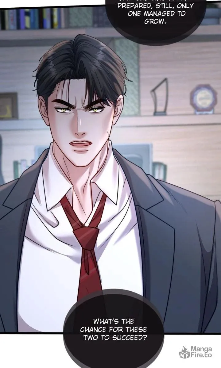 The Billionaire’s Replacement Wife Chapter 25 page 15 - 