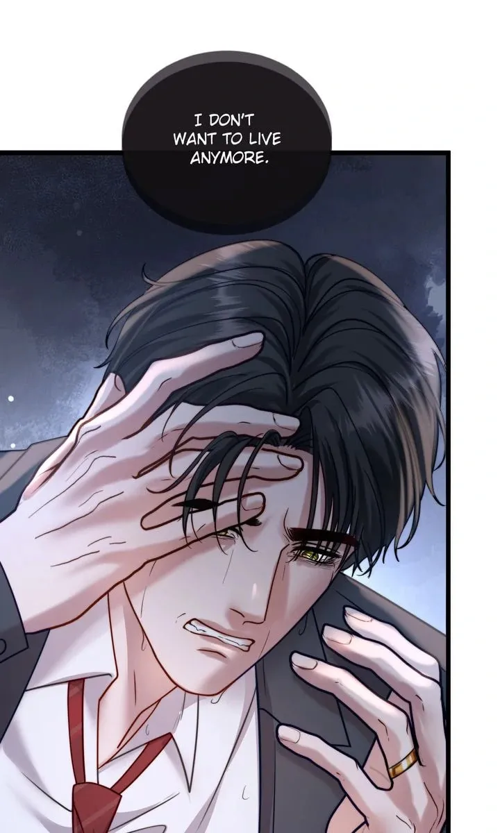 The Billionaire’s Replacement Wife Chapter 25 page 19 - 