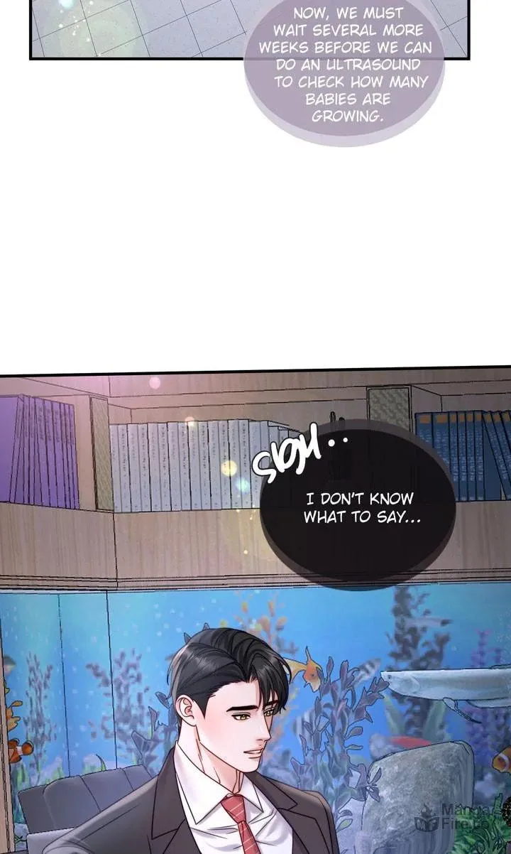 The Billionaire’s Replacement Wife Chapter 26 page 25 - 