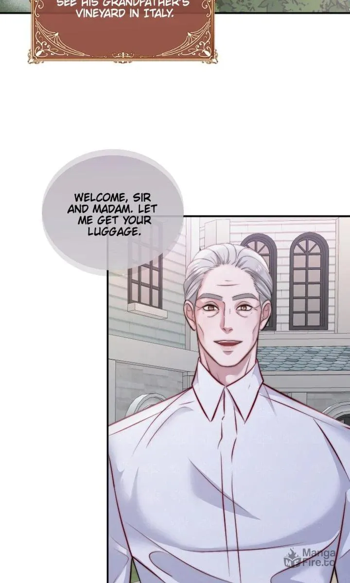 The Billionaire’s Replacement Wife Chapter 27 page 18 - 
