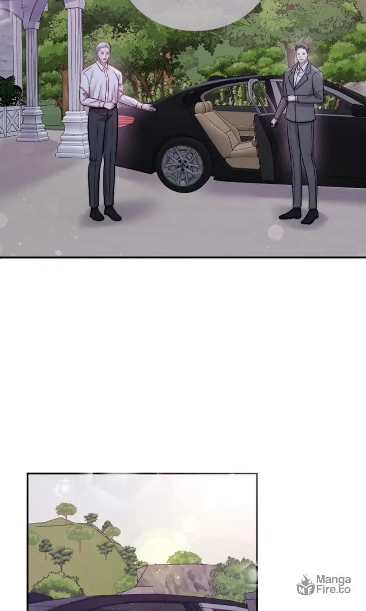 The Billionaire’s Replacement Wife Chapter 27 page 51 - 