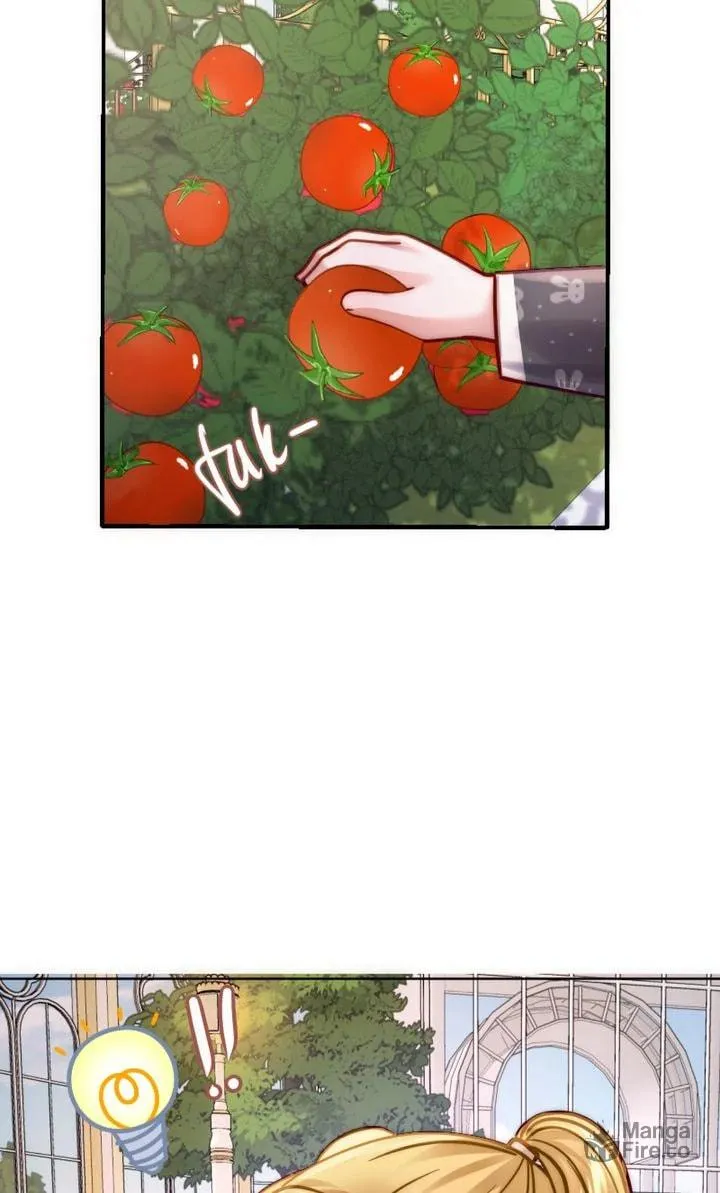 The Billionaire’s Replacement Wife Chapter 28 page 33 - 