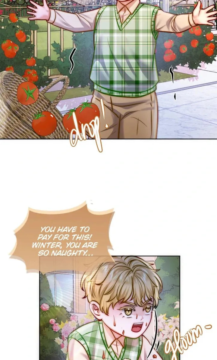 The Billionaire’s Replacement Wife Chapter 28 page 37 - 