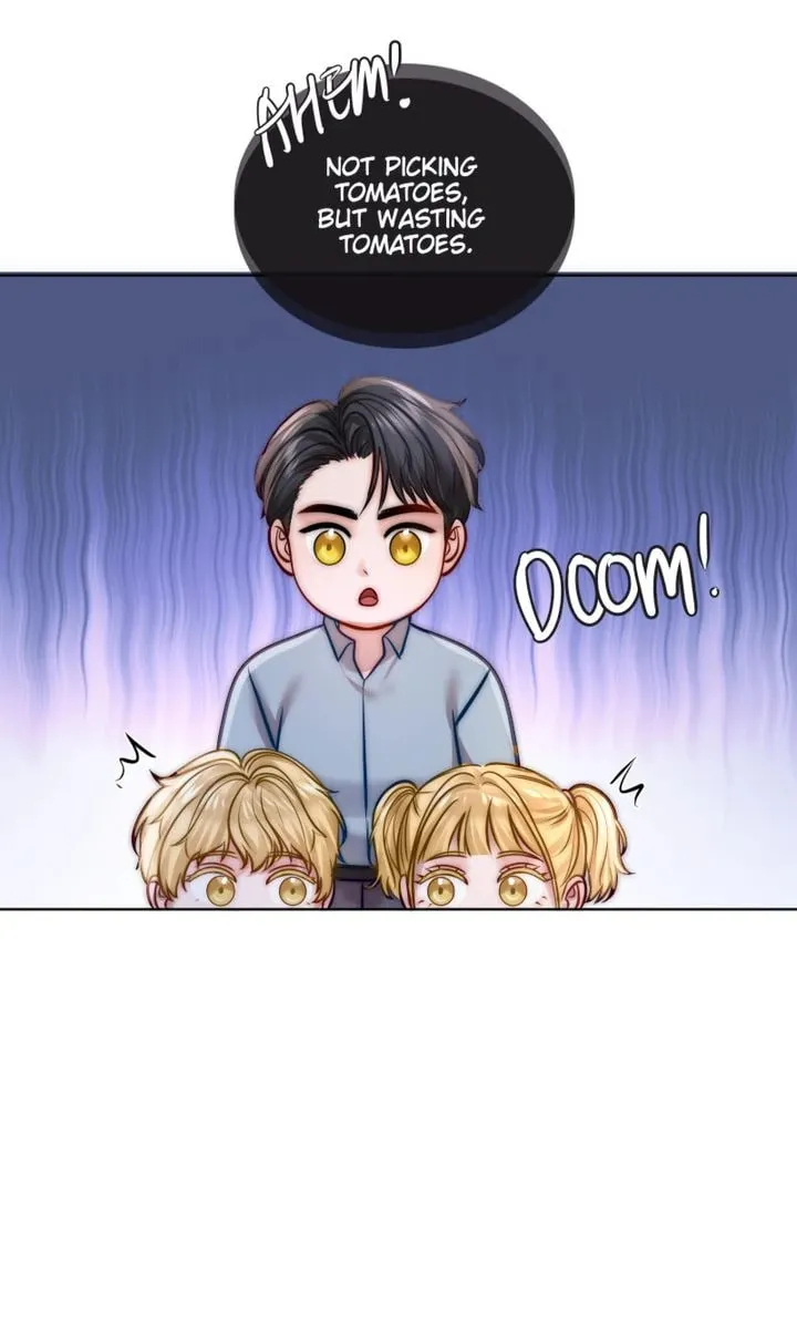 The Billionaire’s Replacement Wife Chapter 28 page 62 - 