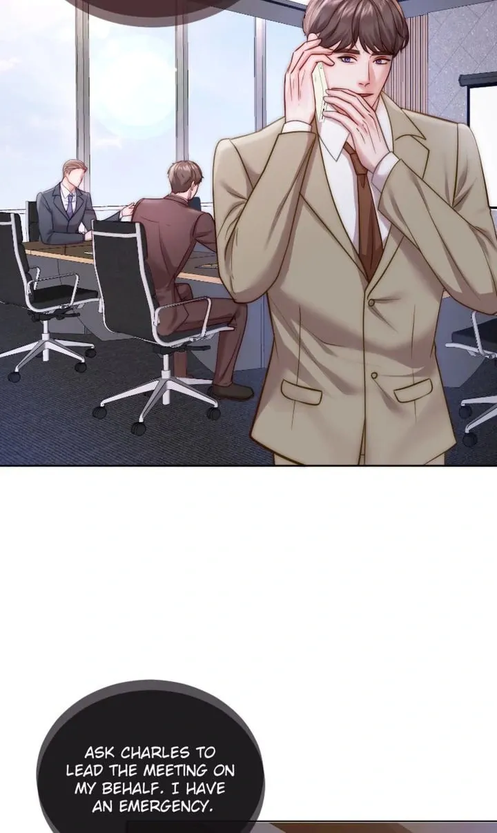 The Billionaire’s Replacement Wife Chapter 29 page 17 - 