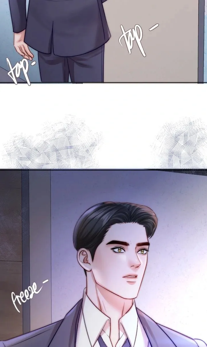 The Billionaire’s Replacement Wife Chapter 29 page 22 - 